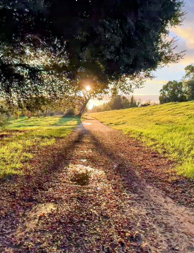 Chemin vers la guérison